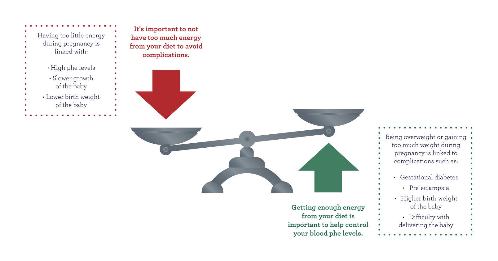 calorie intake diagram.png